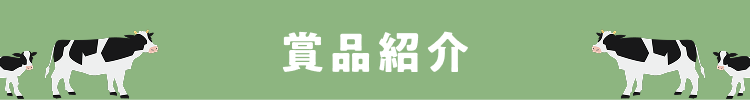 賞品紹介